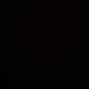 Meet your Posher, Isabella